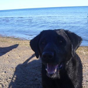 Meet your Posher, Suzanne